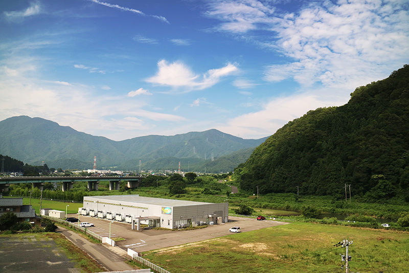 ビタミンファーム福井工場全景