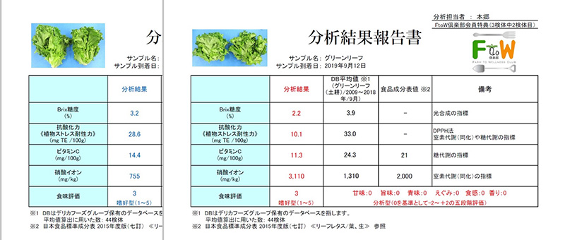 植物工場野菜の栄養素分析結果