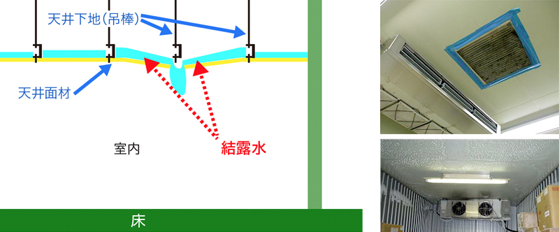 図5