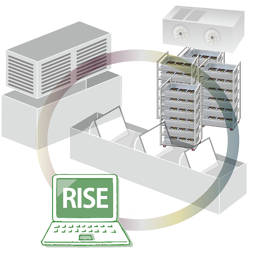 RISEシステム