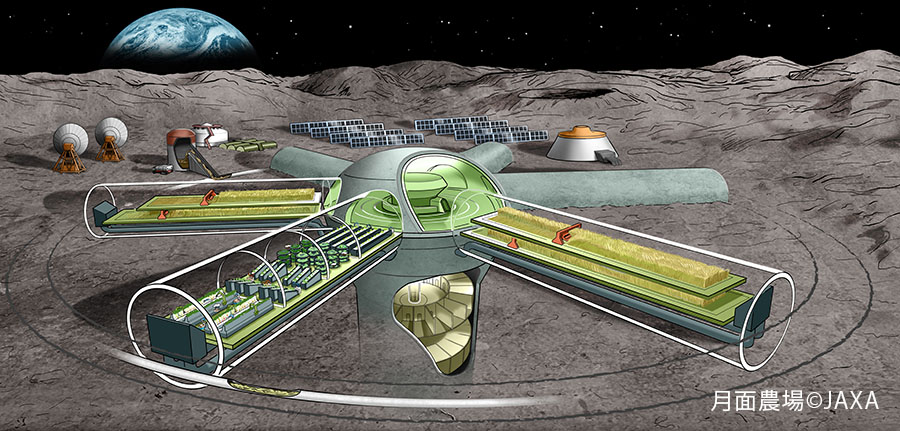 月面農場©JAXA